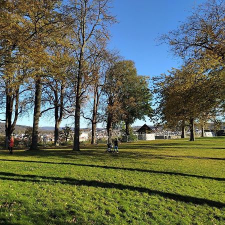 Panoramahaus Sauerland Apartment อาร์นส์แบร์ก ภายนอก รูปภาพ