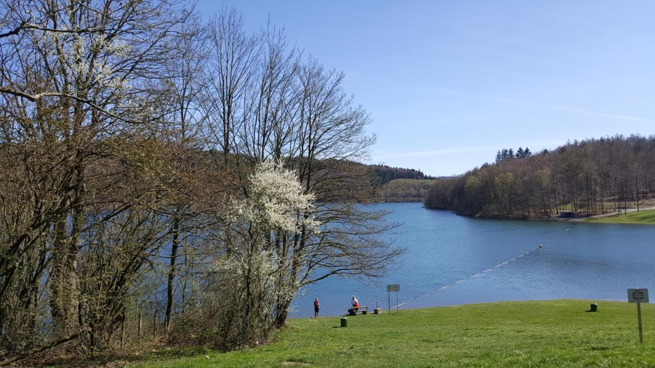 Panoramahaus Sauerland Apartment อาร์นส์แบร์ก ภายนอก รูปภาพ
