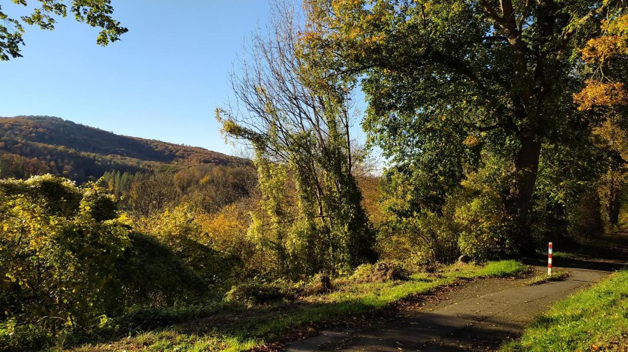 Panoramahaus Sauerland Apartment อาร์นส์แบร์ก ภายนอก รูปภาพ