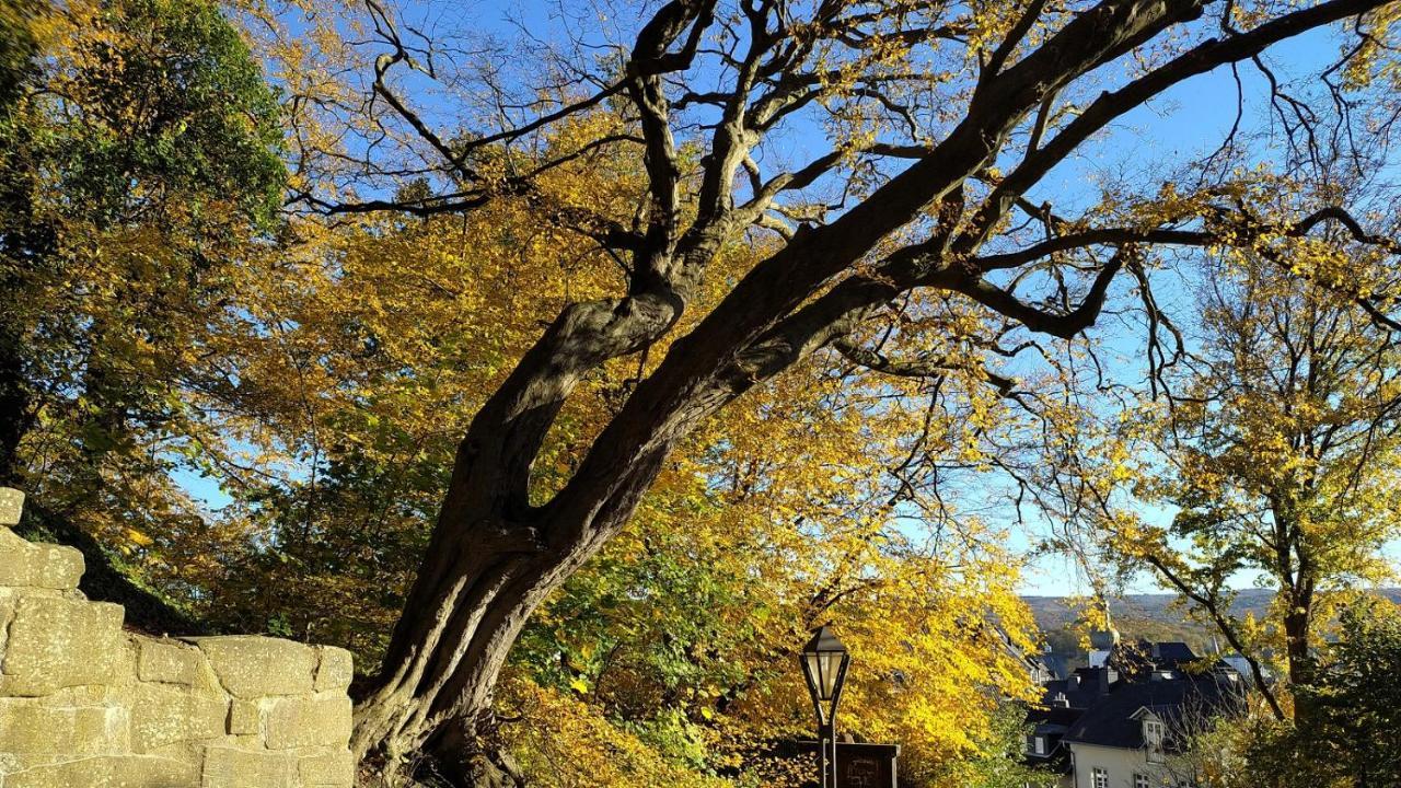Panoramahaus Sauerland Apartment อาร์นส์แบร์ก ภายนอก รูปภาพ