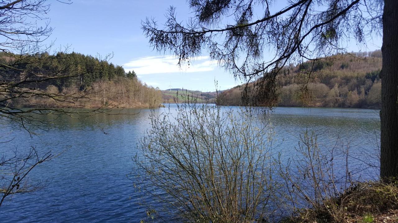 Panoramahaus Sauerland Apartment อาร์นส์แบร์ก ภายนอก รูปภาพ